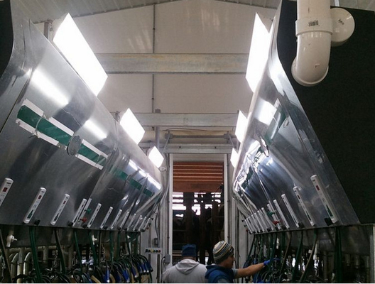Konstan sekarang Led Linear Lampu 85Watt rendah Biaya Pemeliharaan