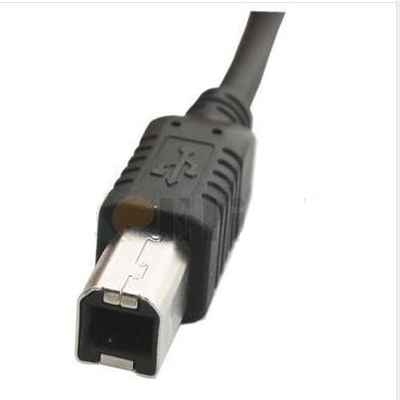 Sebuah Pria ke B Transfer kabel kabel USB Data Transfer Pria menilai hingga 480Mbps